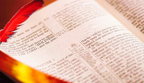 Mattheus 24:32: De vijgenboom bloeit